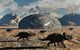 Cretaceous Dinosaurs and Flying Saucer Fine Art Print