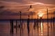 Silhouette of Seagulls on Posts at Sunset Fine Art Print