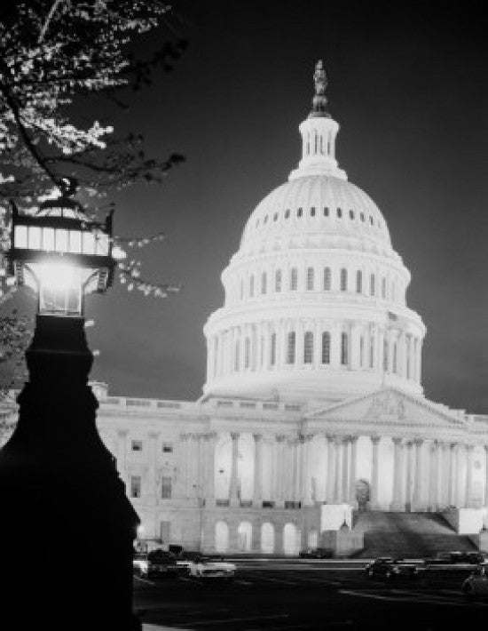 USA Washington D.C. Capitol Building Fine Art Print