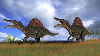 Two Spinosaurus Dinosaurs Hunting in Prehistoric Grasslands Fine Art Print
