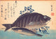 Shimadai and Ainame Fish Fine Art Print by Hiroshige