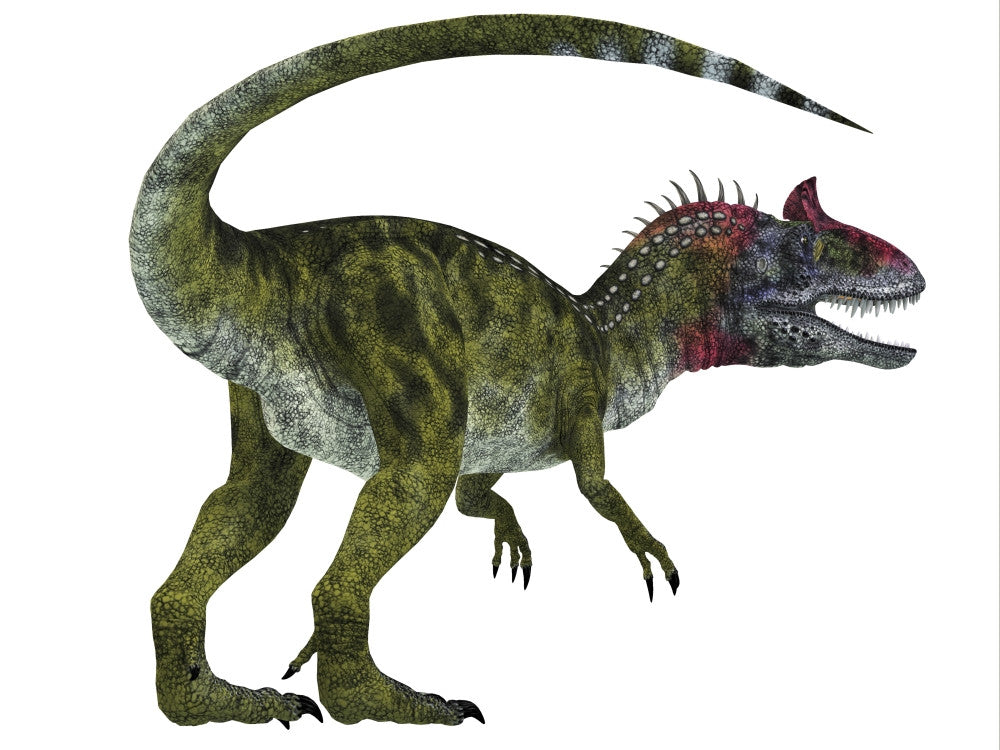 Cryolophosaurus Dinosaur Fine Art Print - White Background