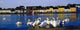Galway City Quay with Swans Fine Art Print - Ireland