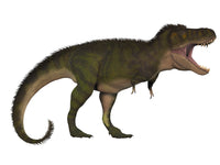 Tyrannosaurus Rex Cretaceous Period Fine Art Print