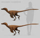 Velociraptor mongoliensis Fine Art Print - Cretaceous Dinosaur Artwork