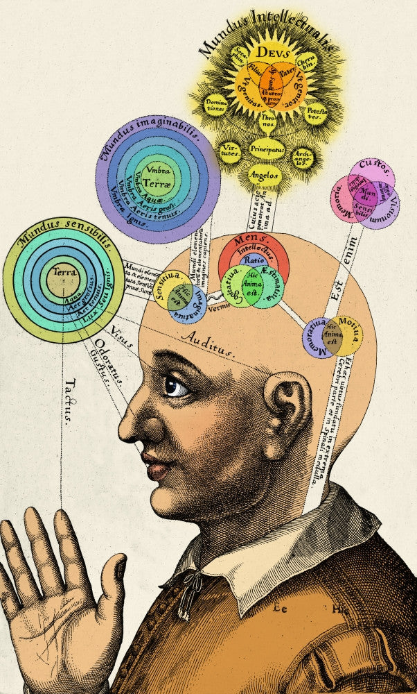 Fludd's Mental Faculties Fine Art Print (1617) | Posterazzi