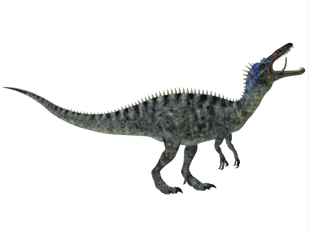 Suchomimus Fine Art Print - Cretaceous Dinosaur Poster