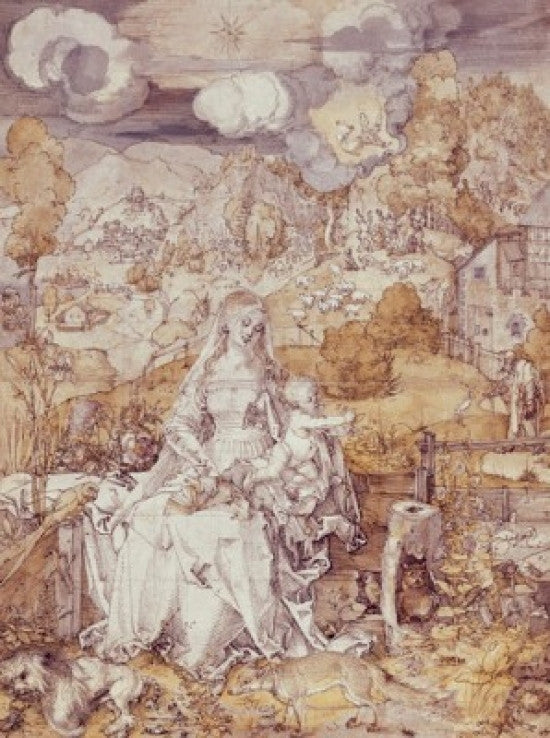 The Virgin with Animals Fine Art Print by Albrecht Durer - 1503