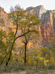 Utah Zion National Park Fine Art Print by Jamie & Judy Wild