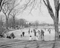 USA New York State Long Island Ice Skating Park Poster Print