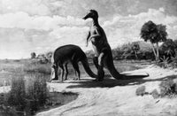 Trachodon Dinosaurs at the Water's Edge Fine Art Print by Charles R. Knight