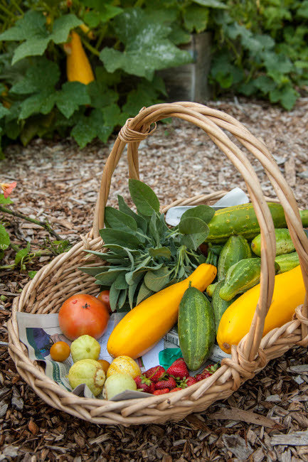 Basket of Fresh Produce Fine Art Print by Janet Horton - Issaquah, WA