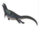 Placodus Aquatic Reptile Fine Art Print by Corey Ford