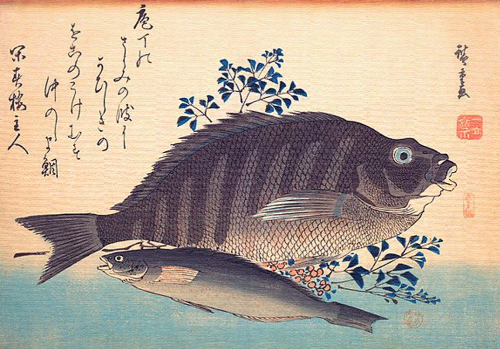 Shimadai and Ainame Fish Fine Art Print by Hiroshige