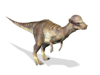 3D Rendering of a Pachycephalosaurus Dinosaur Fine Art Print