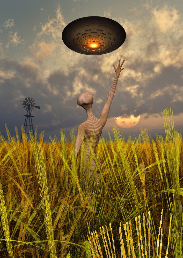 Alien Crop Circles Poster Print - UFO Art - Item # VARPSTMAS100585S