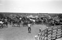 Texas Cowboy Vintage Photograph Print by Russell Lee (1939)