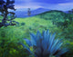 Agave Plant Fine Art Print on Lush Landscape by 770 Productions
