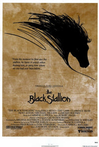 The Black Stallion Movie Poster (11x17) - Classic Film Art
