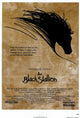 The Black Stallion Movie Poster (11x17) - Classic Film Art
