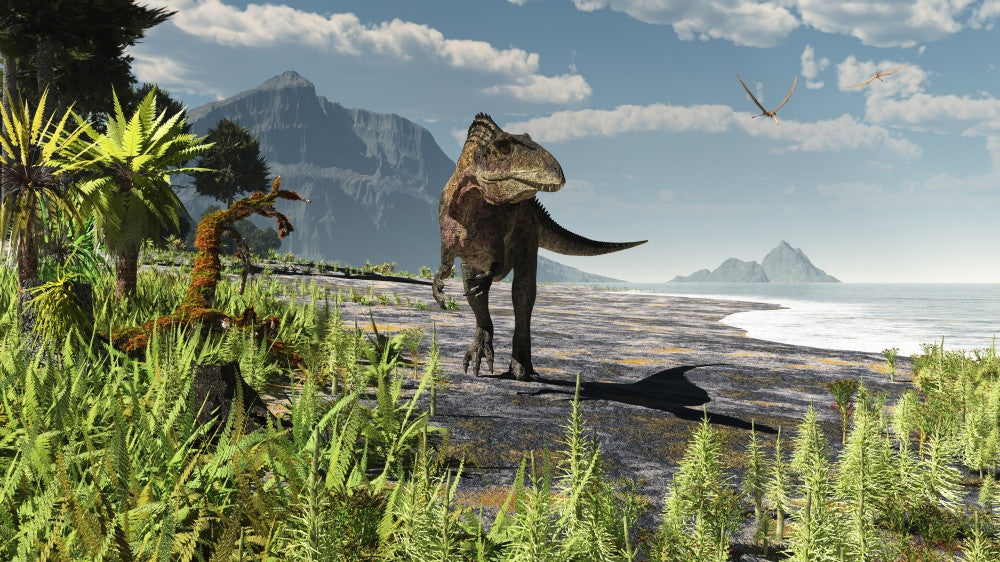Acrocanthosaurus in Early Cretaceous North America Poster Print