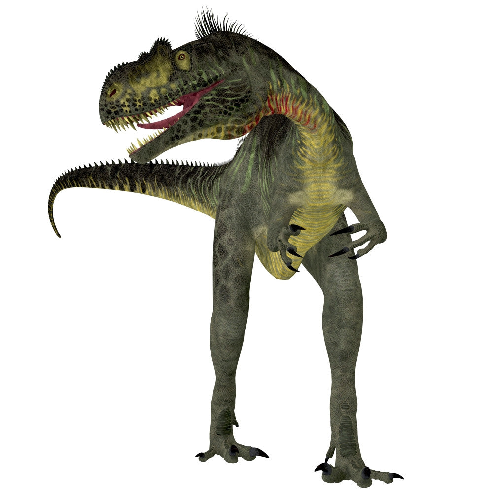 Megalosaurus Dinosaur Fine Art Print - Front View