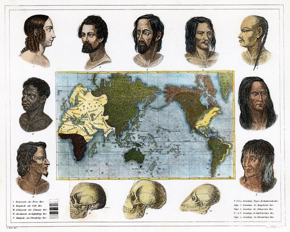 19th Century Racial Types Line Engraving Print by Granger Collection