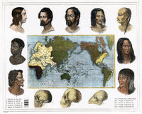 19th Century Racial Types Line Engraving Print by Granger Collection