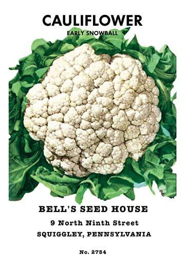 Vintage Seed Packet Art Fine Art Print - Unknown Artist