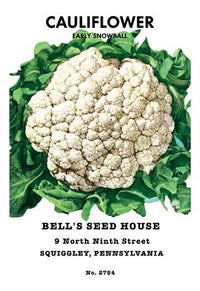 Vintage Seed Packet Art Fine Art Print - Unknown Artist