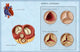 Aortic Valves Illustration Poster Print by Monica Schroeder