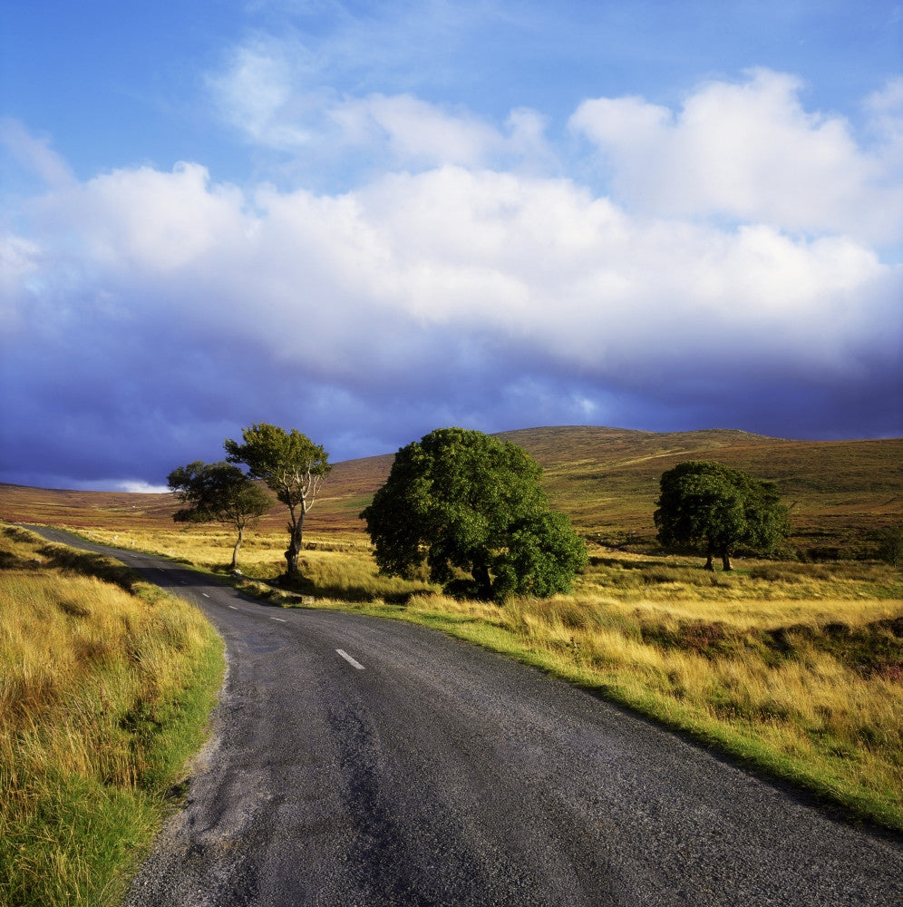 Wicklow Mountains Fine Art Print - Near Sallygap, Ireland by The Irish Image Collection