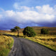 Wicklow Mountains Fine Art Print - Near Sallygap, Ireland by The Irish Image Collection