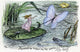 Thumbelina Rides on the Waterlily Leaf Fine Art Print by Henry J. Ford