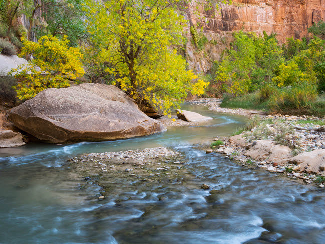 USA Utah Zion National Park Virgin River Fine Art Print by Jamie & Judy Wild (24x18)
