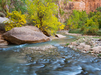 USA Utah Zion National Park Virgin River Fine Art Print by Jamie & Judy Wild (24x18)