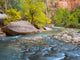 USA Utah Zion National Park Virgin River Fine Art Print by Jamie & Judy Wild (24x18)