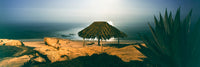 Shack on the Coast at Night - Windansea Beach Poster Print