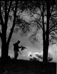 Silhouette of a Hunter with Gun Poster Print - Item # VARSAL255421925