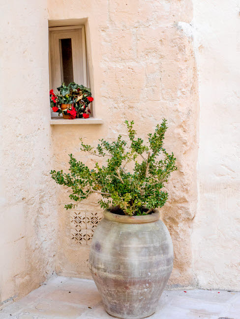 Potted Plants Outside the Sassi Houses Fine Art Print by Julie Eggers