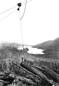 Darius Kinsey Logging Industry Fine Art Print | Posterazzi