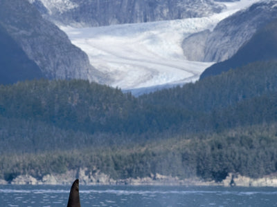 Alaska Art
