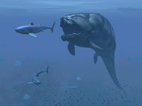 Dunkleosteus Fish and Primitive Shark Fine Art Print