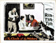 Clash Of The Wolves Movie Poster Masterprint (1925) | Posterazzi