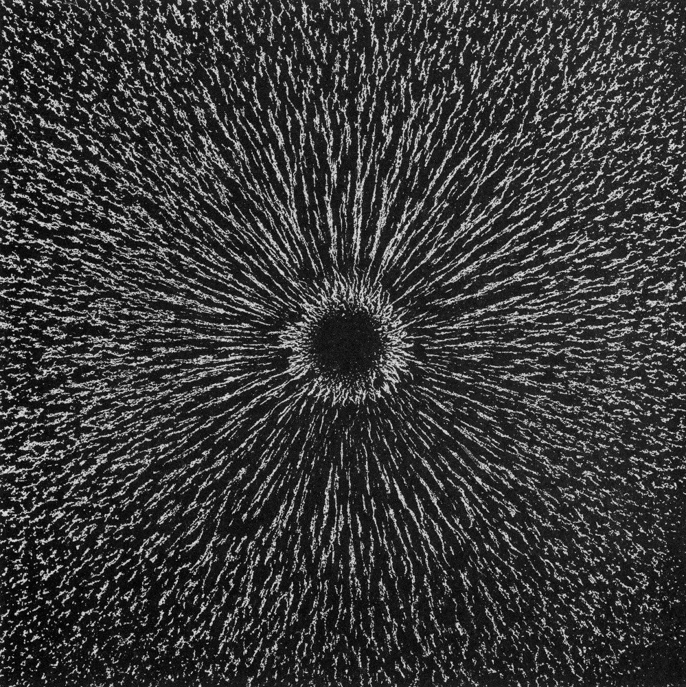 Magnetic Field Poster Print - Magnetism by Science Source
