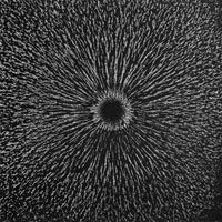 Magnetic Field Poster Print - Magnetism by Science Source