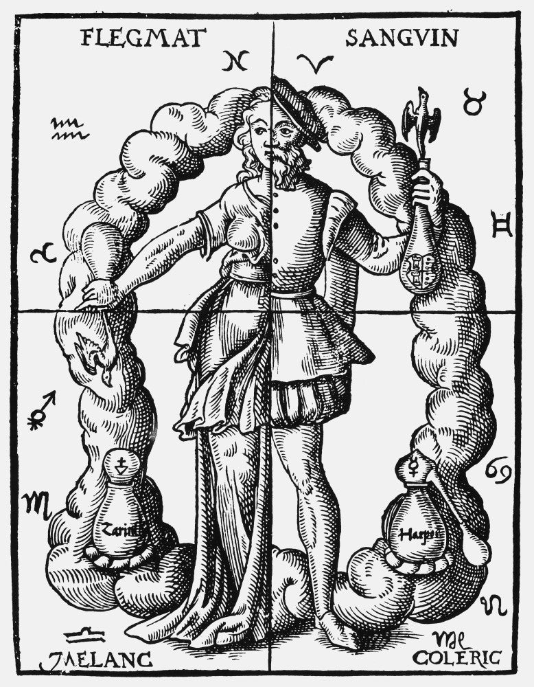 Four Humors Alchemical Representation Fine Art Print - 1574