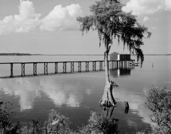 USA, Florida, St. John's River at Orange Park Fine Art Print