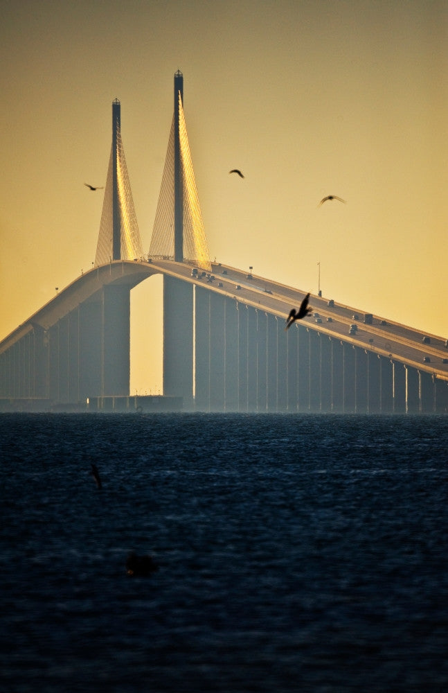 Sunshine Skyway Bridge Poster Print by Panoramic Images