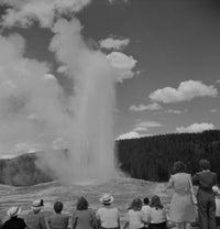 Old Faithful Geyser Poster Print - Yellowstone National Park